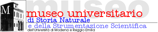 centro museo di storia naturale e della strum. scientifica